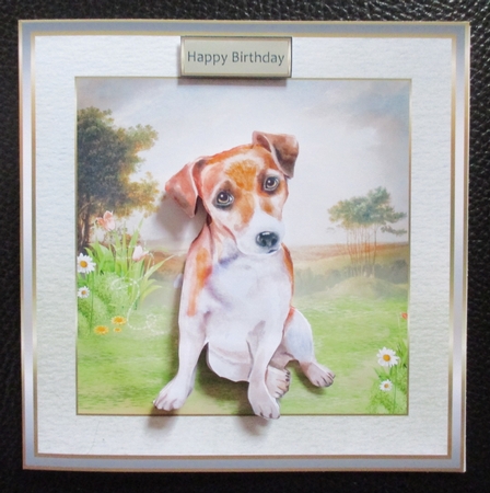 The Jack Russel terrier by Davina Rundle