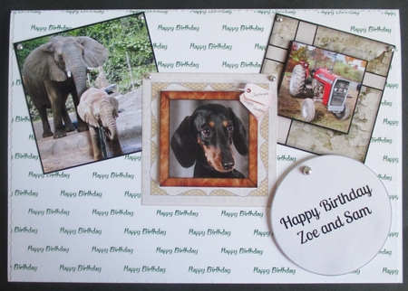 DACHSHUND 2 by Davina Rundle