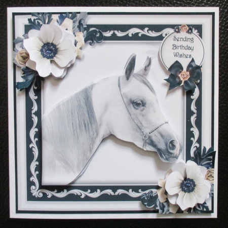 Arabian Horse by Davina Rundle