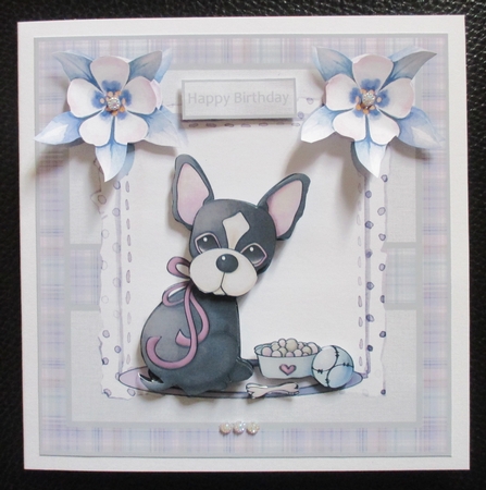 Cherry the chihuahua puppy by Davina Rundle