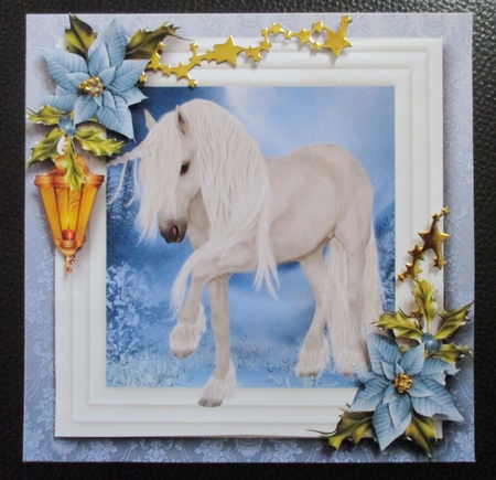 The Winter Unicorn by Davina Rundle