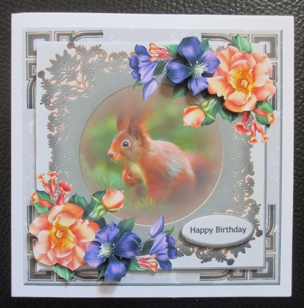 Squirrel by Davina Rundle