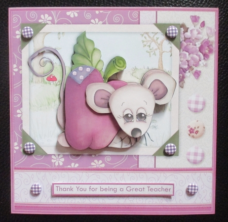 APPLE OF MY EYE Get Well Thank You etc 8x8 Decoupage & Insert Mini Kit by Davina Rundle