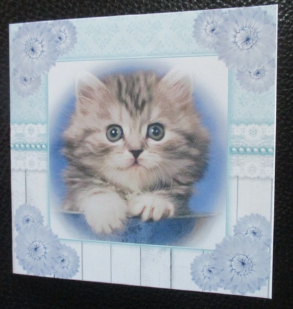 cute kitten toppers#1 by Davina Rundle
