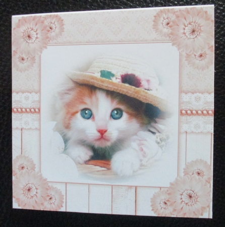 cute kitten toppers#3 by Davina Rundle