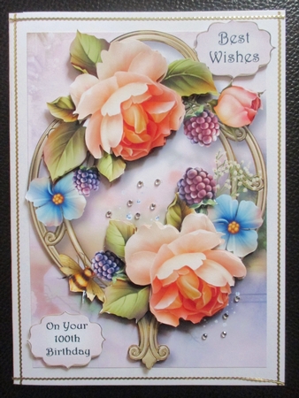 Peach Roses On Golden Frame by Davina Rundle