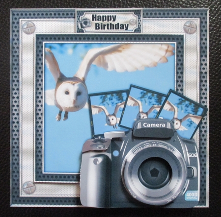 Through the Lens - The Owl by Davina Rundle