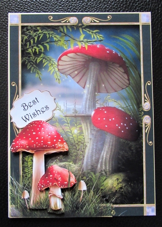 The Land Of Shrooms by Davina Rundle