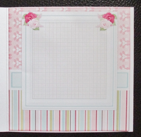 Special Girl Insert by Davina Rundle