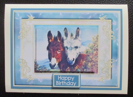 A Pair Of Donkeys by Davina Rundle