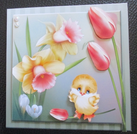Daffodls and tulips by Davina Rundle