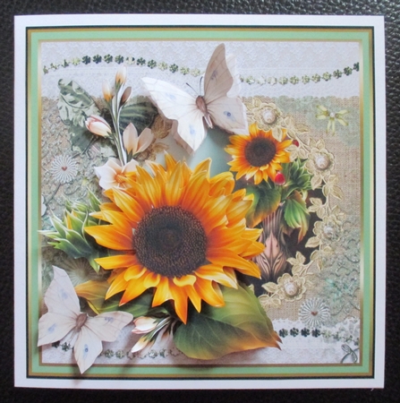 Sunflower by Davina Rundle