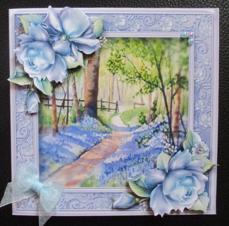 Beautiful Bluebell Woods by Davina Rundle