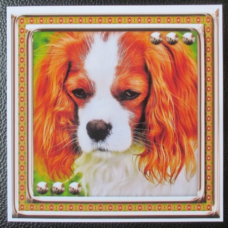 JJ LOVE MY DOG CAVALIER KING CHARLES 8X8 by Davina Rundle