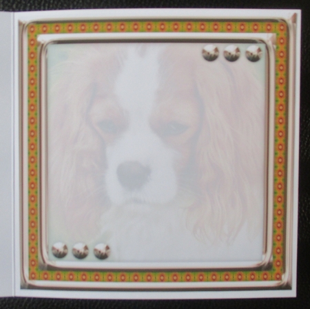JJ LOVE MY DOG CAVALIER KING CHARLES 8X8 INSERT BLANK by Davina Rundle