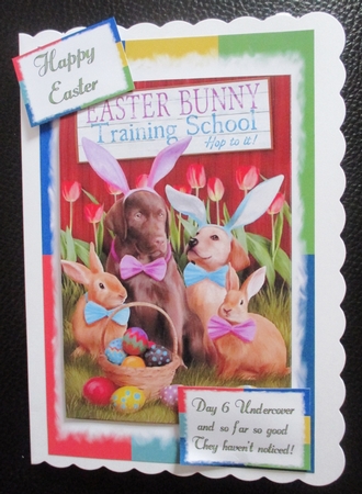 Undercover Easter Bunnies Pyramid by Davina Rundle