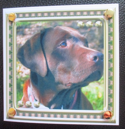 Gallery Item Handmade Craft Photo
