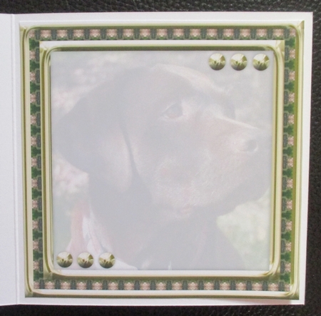 JJ LOVE MY DOG LABRADOR RETRIEVER 8X8 CHOCOLATE INSERT BLANK by Davina Rundle