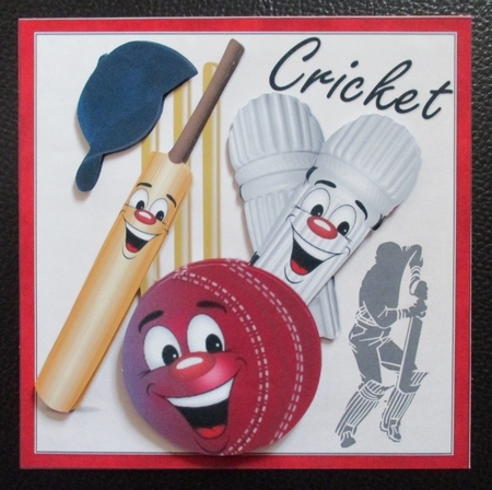 7x7 smiling because Im a cricketer mini kit by Davina Rundle