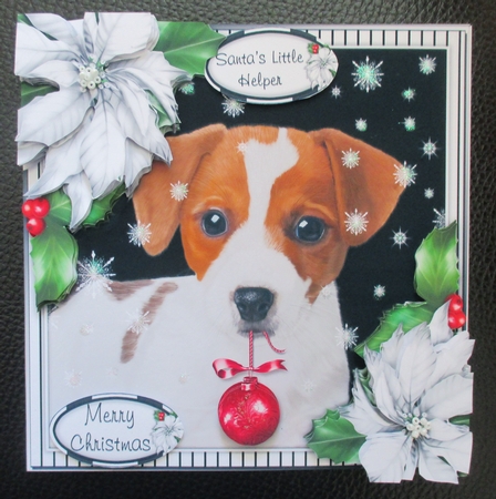 The Christmas Jack Russell by Davina Rundle