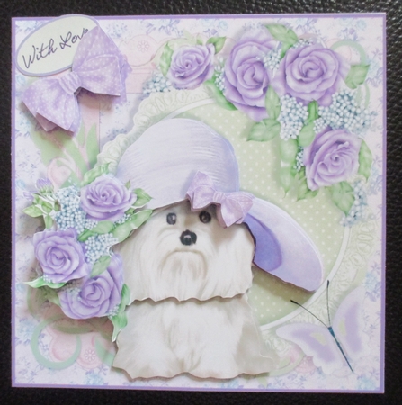 NEW BEGINNINGS - 7x7 Card Front Mini-Kit  - DAISYS HAT by Davina Rundle