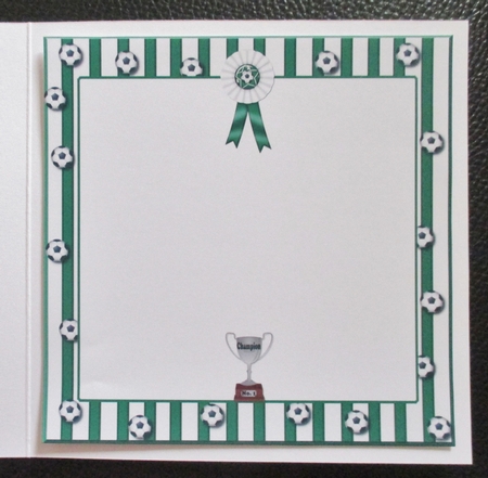 Green n White Football Insert Plaque by Davina Rundle
