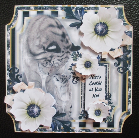 Heres Lookin at You Kid - White Tiger by Davina Rundle