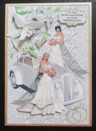 Beautiful Brides by Davina Rundle