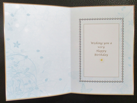 Beautiful Butterfly Aqua Insert by Davina Rundle
