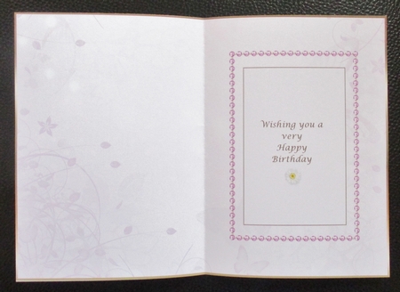 Soft Pink Butterfly Insert 2 by Davina Rundle