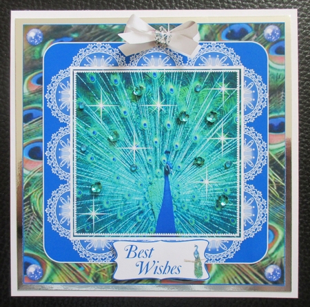 SPARKLING PEACOCK BIRTHDAY AND OTHER SENTIMENTS by Davina Rundle