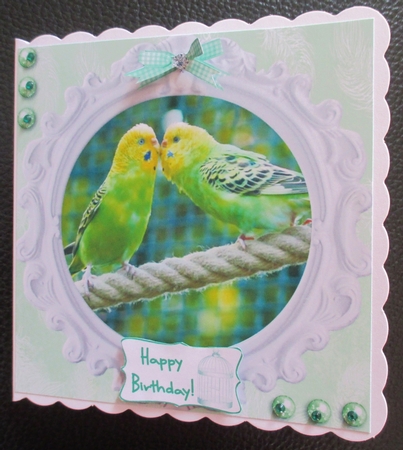 BUDGIE YELLOW / GREEN BIRTHDAY AND OTHER SENTIMENTS by Davina Rundle