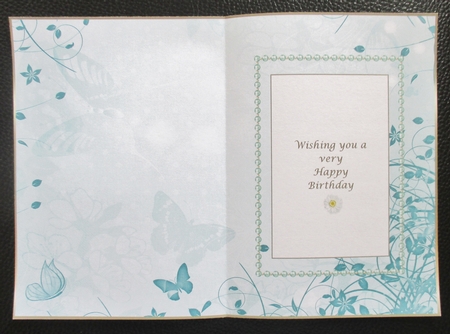 Soft Aqua Green Butterfly Insert 2 by Davina Rundle