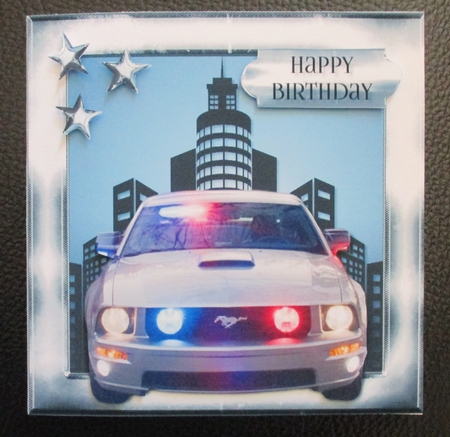 The Cars the Star 11 by Davina Rundle