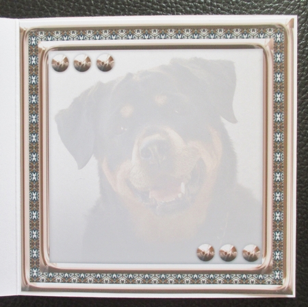 JJ LOVE MY DOG ROTTWEILER 8x8 INSERT BLANK by Davina Rundle
