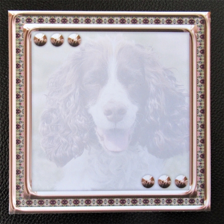 JJ LOVE MY DOG SPRINGER SPANIEL 8X8 INSERT BLANK by Davina Rundle