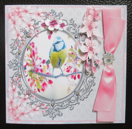BLUE TIT IN BLOSSOM - ANY OCCASION  by Davina Rundle
