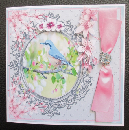 NUTHATCH TREE CREEPER IN BLOSSOM - ANY OCCASION  by Davina Rundle