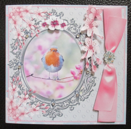 ROBIN IN BLOSSOM - ANY OCCASION  by Davina Rundle