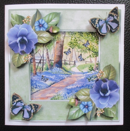 Butterfly Bluebell Woods by Davina Rundle