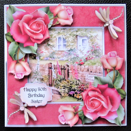 Dragonflies At The Rose Cottage by Davina Rundle