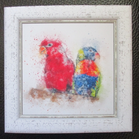 Watercolour Splatter Art - Exotic Animals - Exclusive Bumper Kit by Davina Rundle
