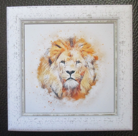 Watercolour Splatter Art - Exotic Animals - Exclusive Bumper Kit by Davina Rundle