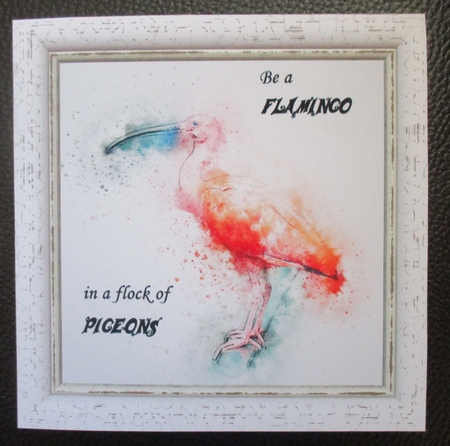 Watercolour Splatter Art - Exotic Animals - Exclusive Bumper Kit by Davina Rundle