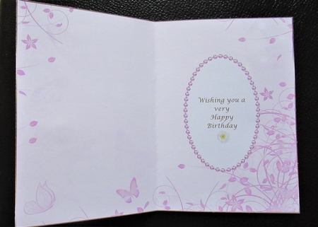 Candy Pink Butterfly Insert  by Davina Rundle