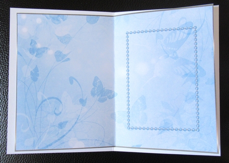 Pale Blue Butterfly Insert 3 by Davina Rundle