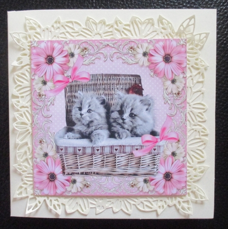 Cute Kittens in a basket in pink floral frame with bows 8x8 by Davina Rundle