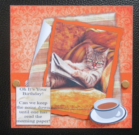 Cat Reading Newspaper by Davina Rundle