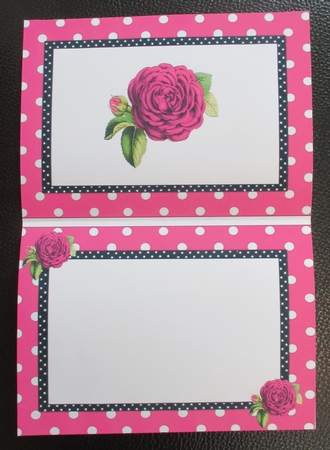 pretty pink polkadot/stripe shoes with pink roses A5 Insert by Davina Rundle