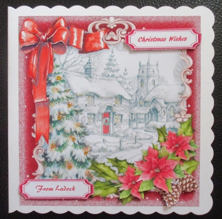 Snow Scene and Poinsettias  by Davina Rundle